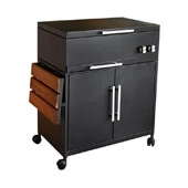 باربیکیو مدل Amin BBQ BFC-075