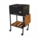 باربیکیو مدل Amin BBQ BFT-051